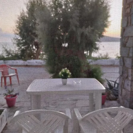 Sirios Myrties